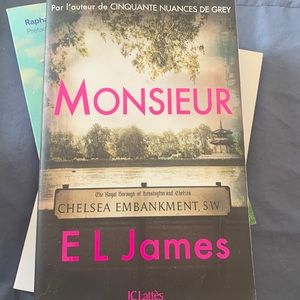 Livre monsieur de EL james